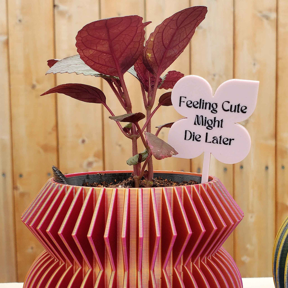 Plant Marker