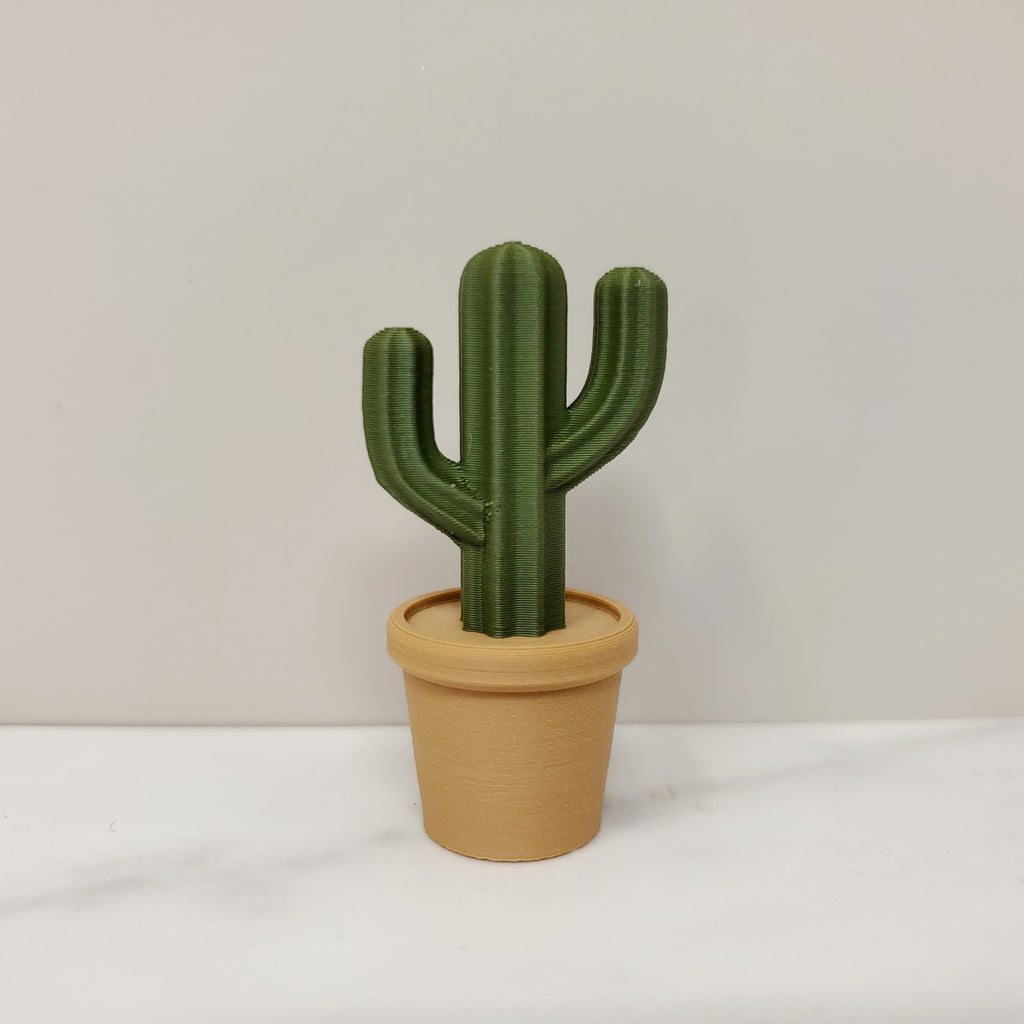 Cactus Magnet