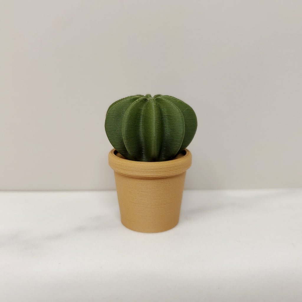 Cactus Magnet