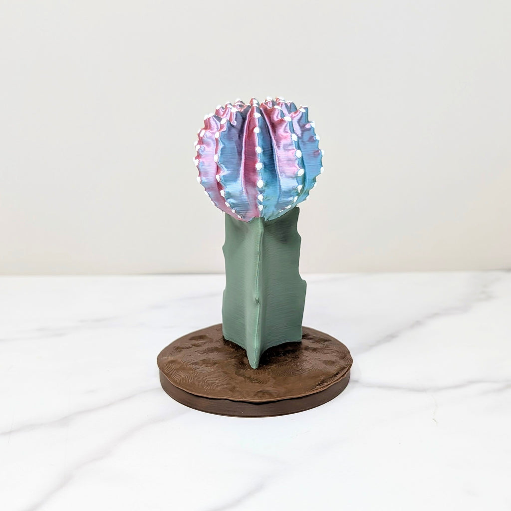 Container Cactus Lid - Moon