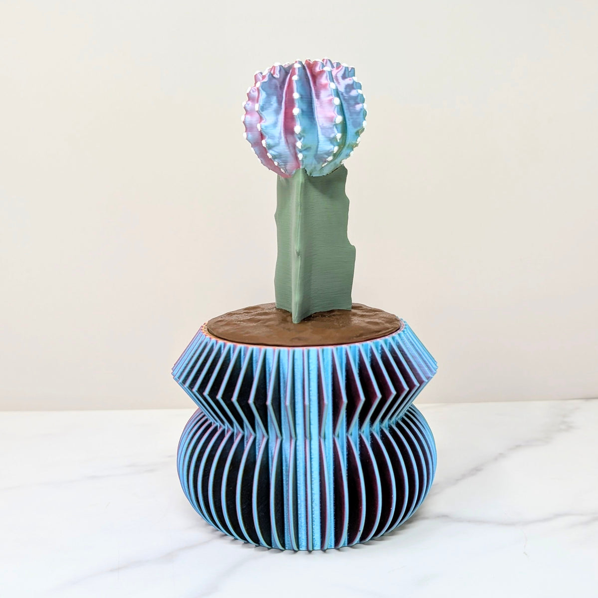 Container Cactus Lid - Moon – Boyd's Custom Fabrication