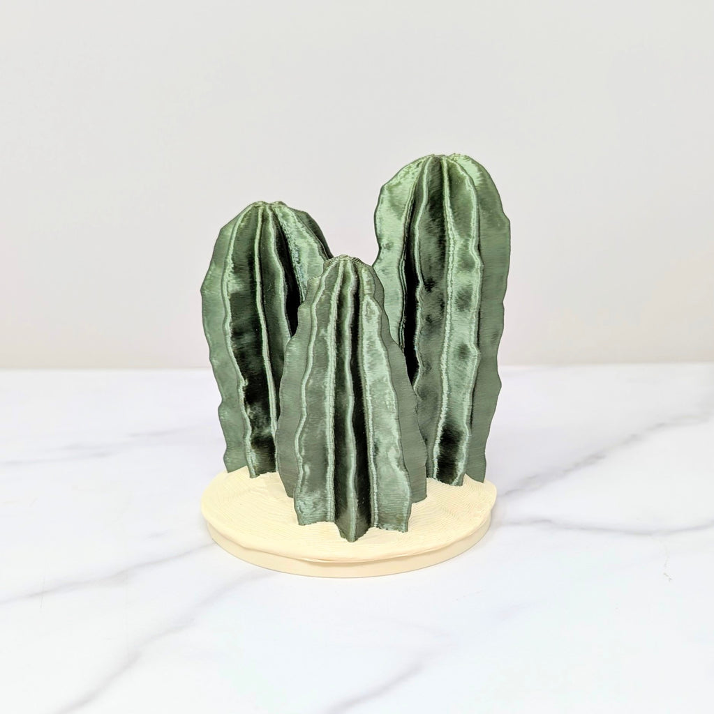 Container Cactus Lid - Pillar