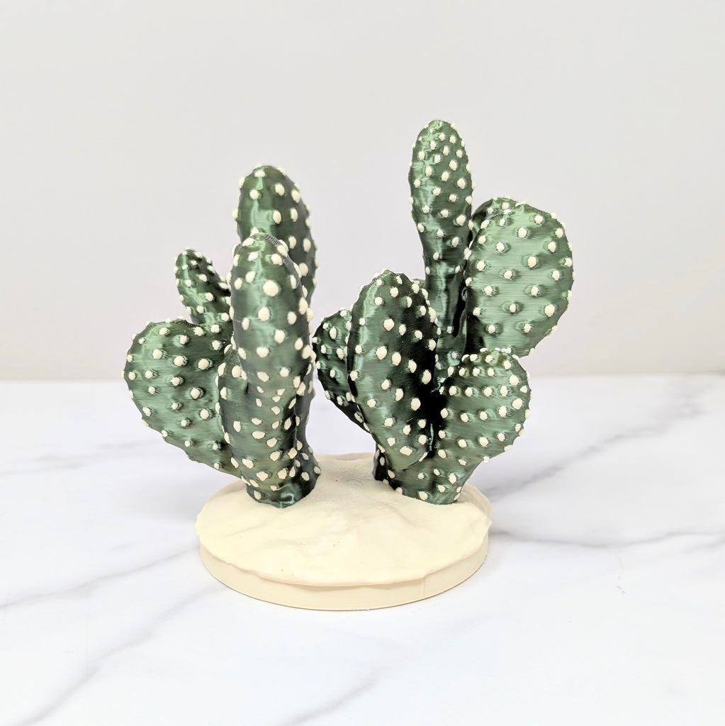 Container Cactus Lid - Prickly Pear