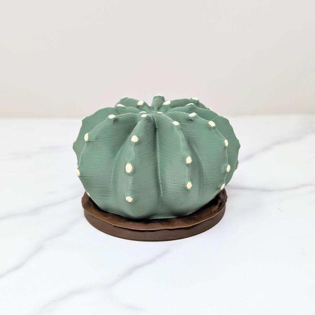 Container Cactus Lid - Domino