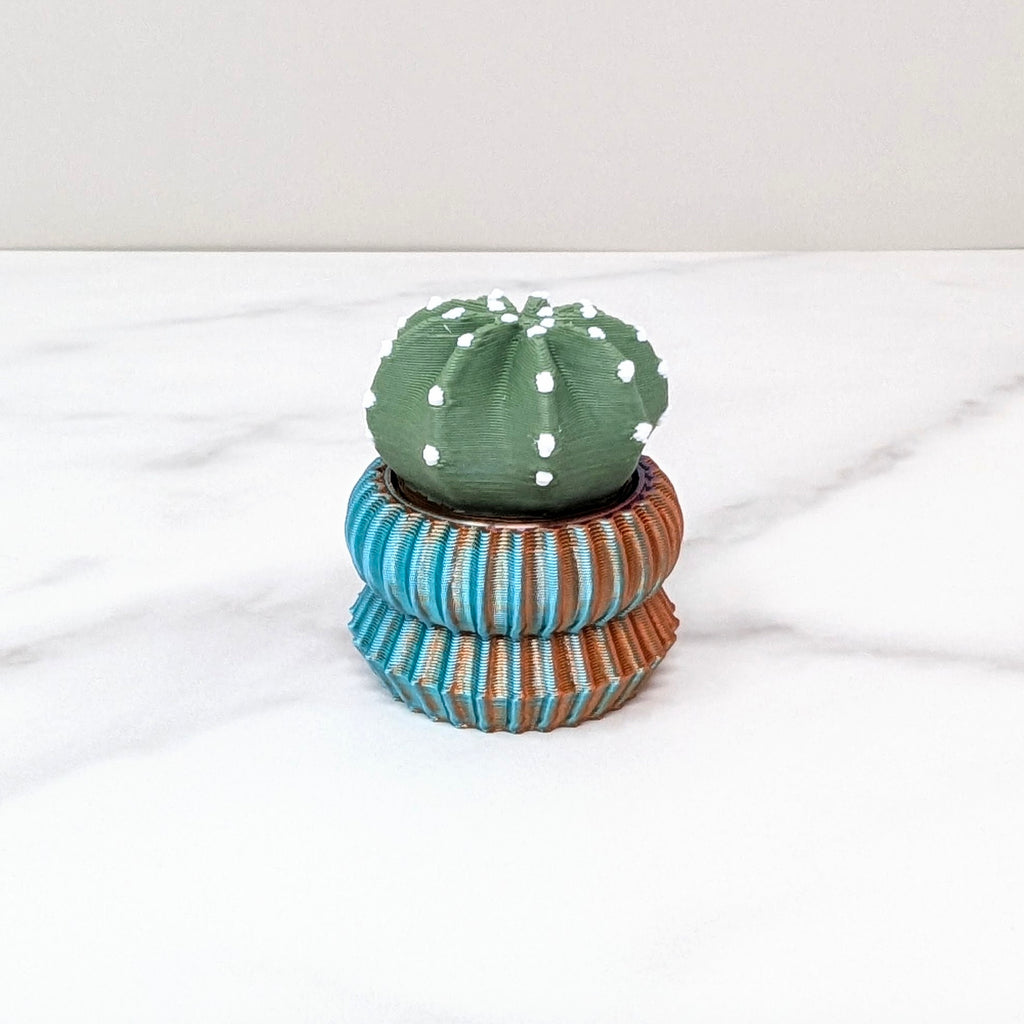 Domino Cactus Spinner - Green/Dusk to Dawn