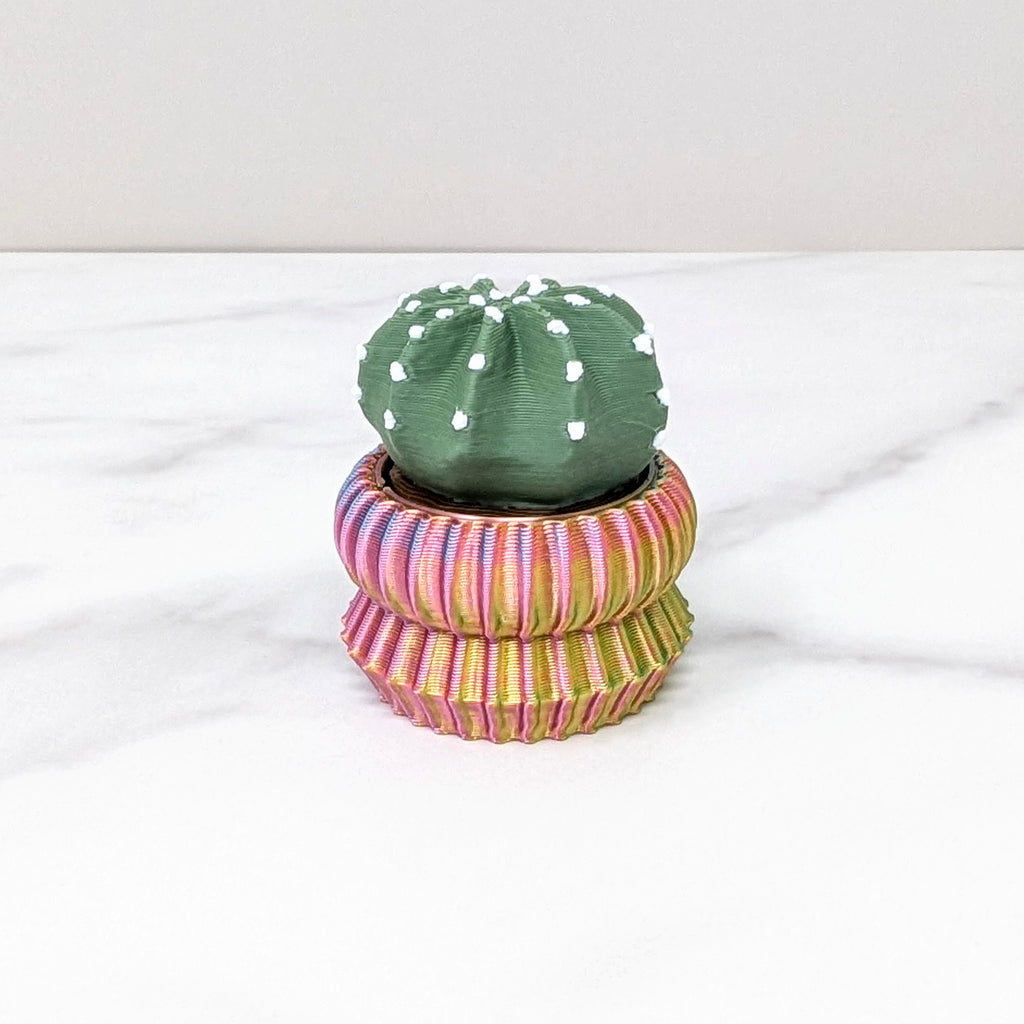 Domino Cactus Spinner - Green/Pastel Rainbow