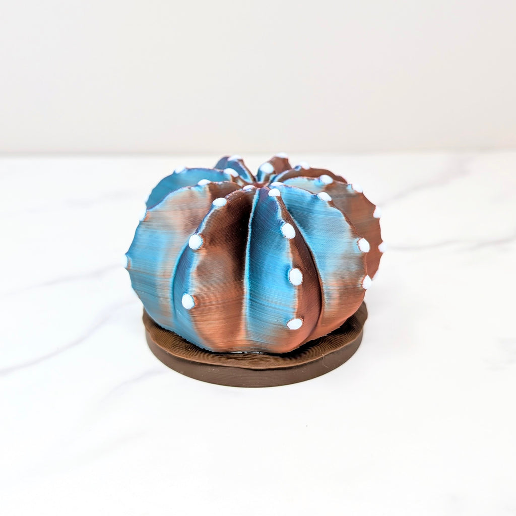 Container Cactus Lid - Domino, Dusk to Dawn