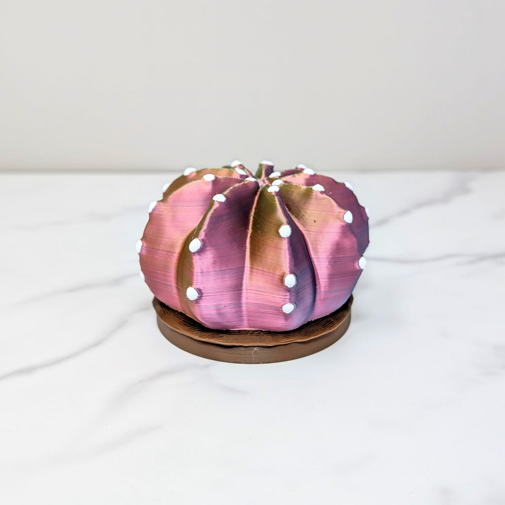 Container Cactus Lid - Domino, Pastel Rainbow