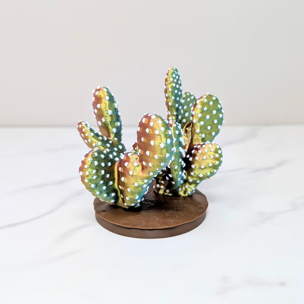 Container Cactus Lid - Prickly Pear, Pastel Rainbow