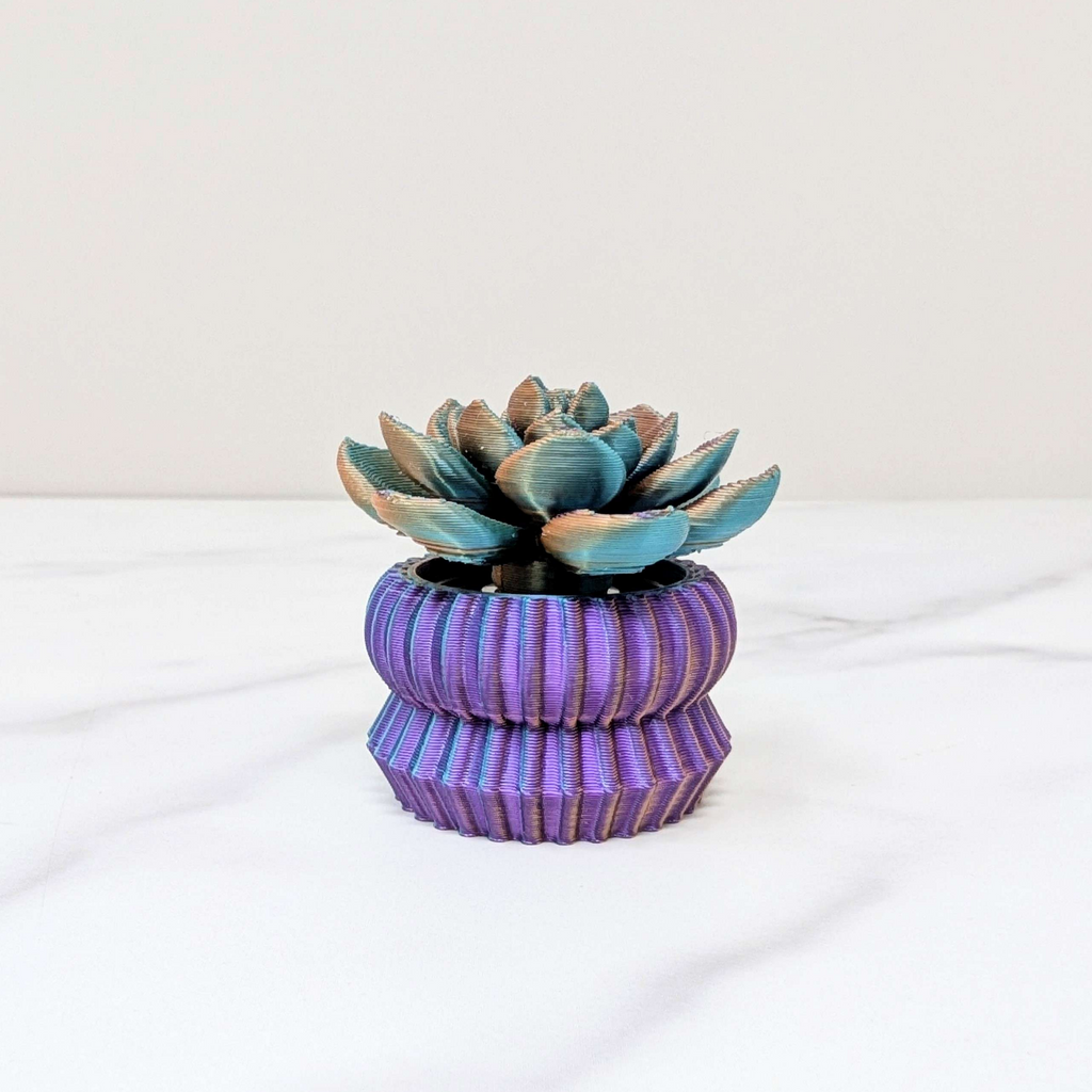 Succulent Spinner - Echeveria, Dusk to Dawn