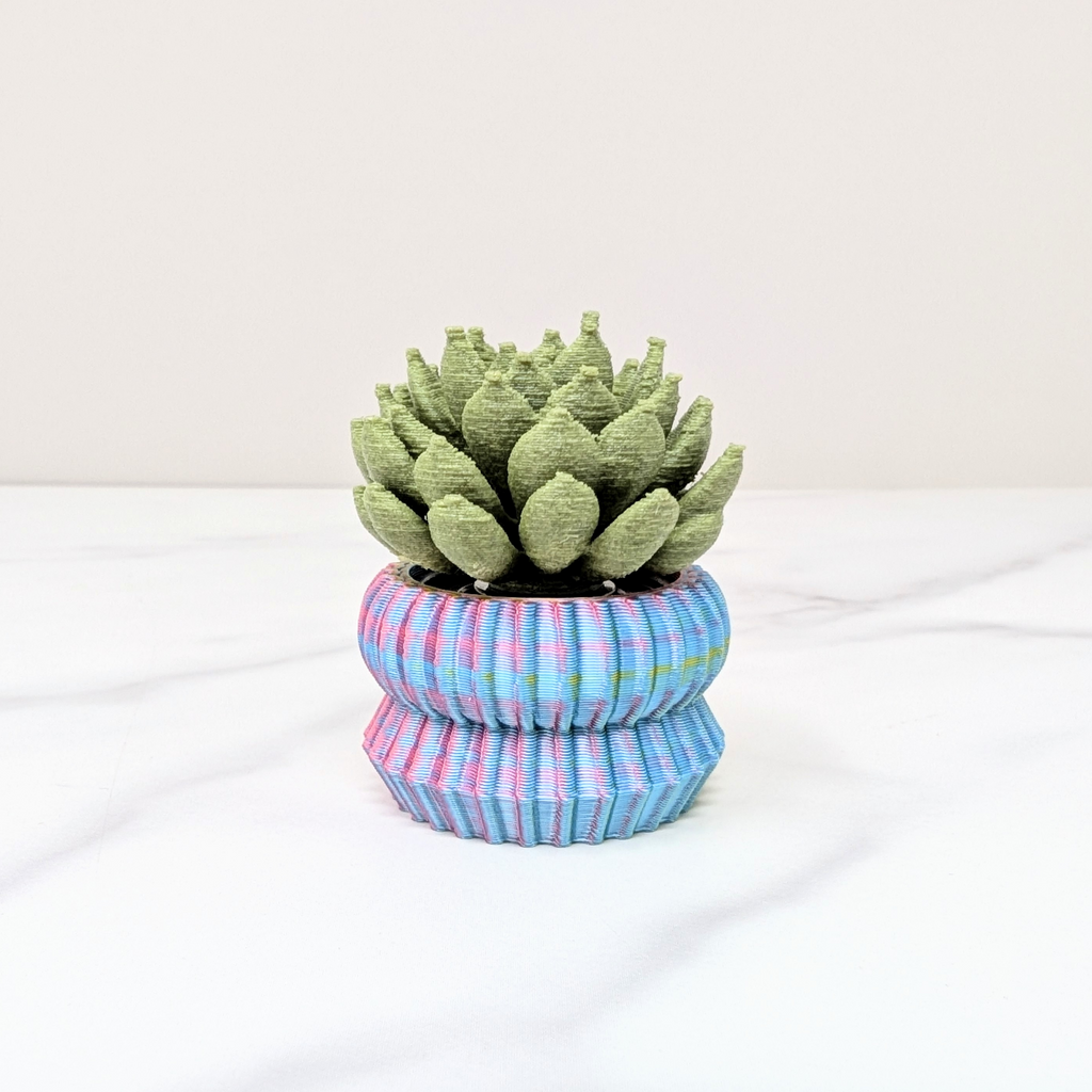 Succulent Spinner - Ghost Plant, Green/Pastel Rainbow