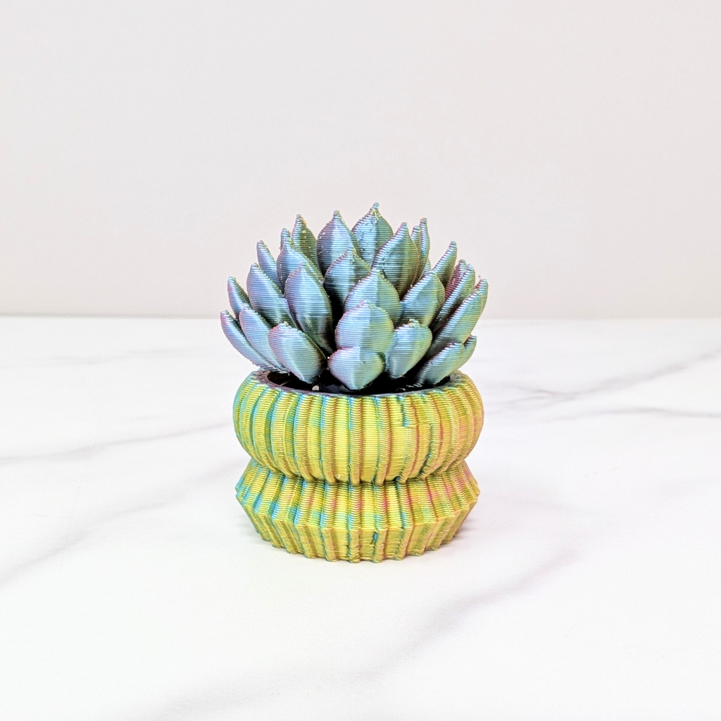 Succulent Spinner - Ghost Plant, Pastel Rainbow