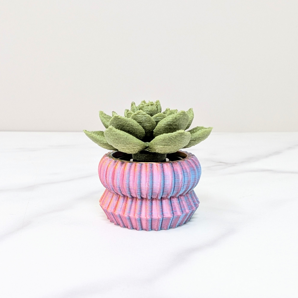 Succulent Spinner - Echeveria, Green/Pastel Rainbow