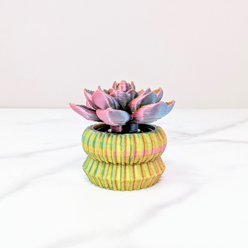 Succulent Spinner - Echeveria, Pastel Rainbow