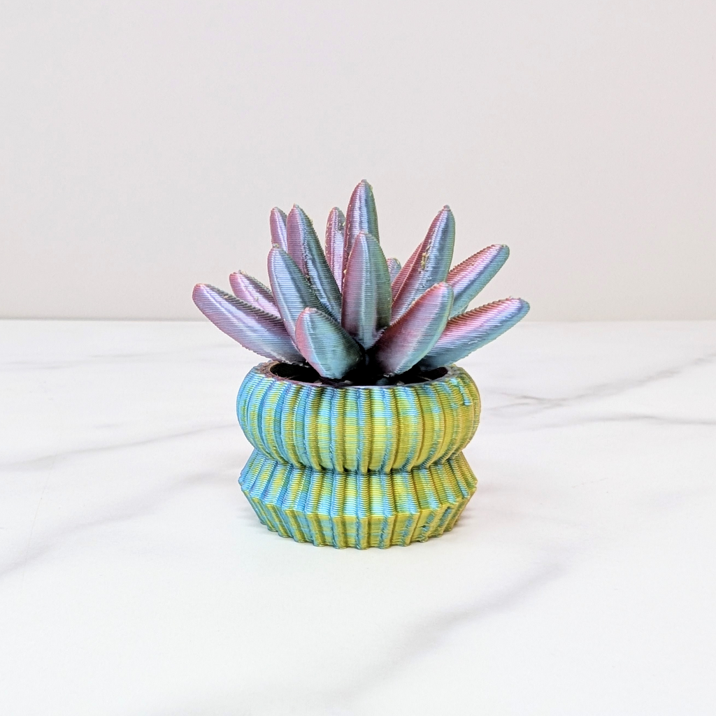 Succulent Spinner - Haworthia, Pastel Rainbow