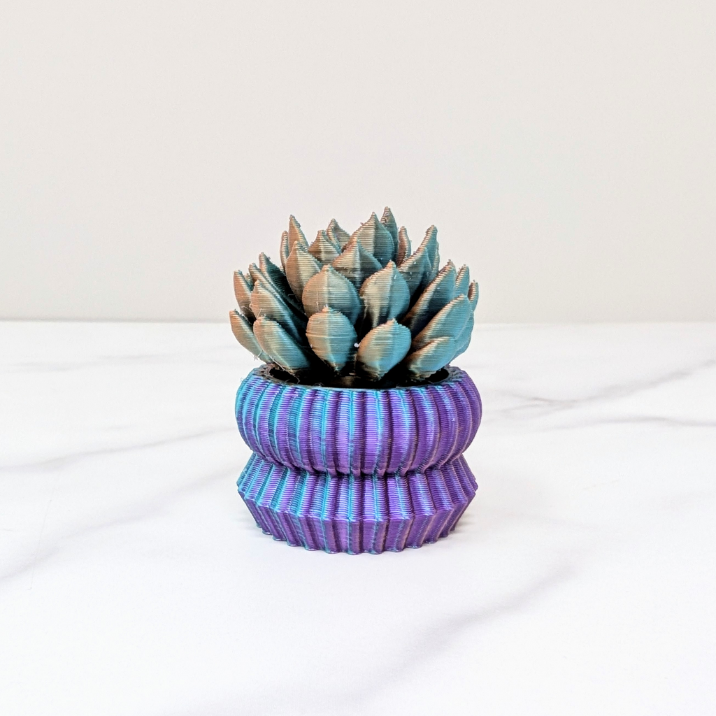 Succulent Spinner - Ghost Plant, Dusk to Dawn