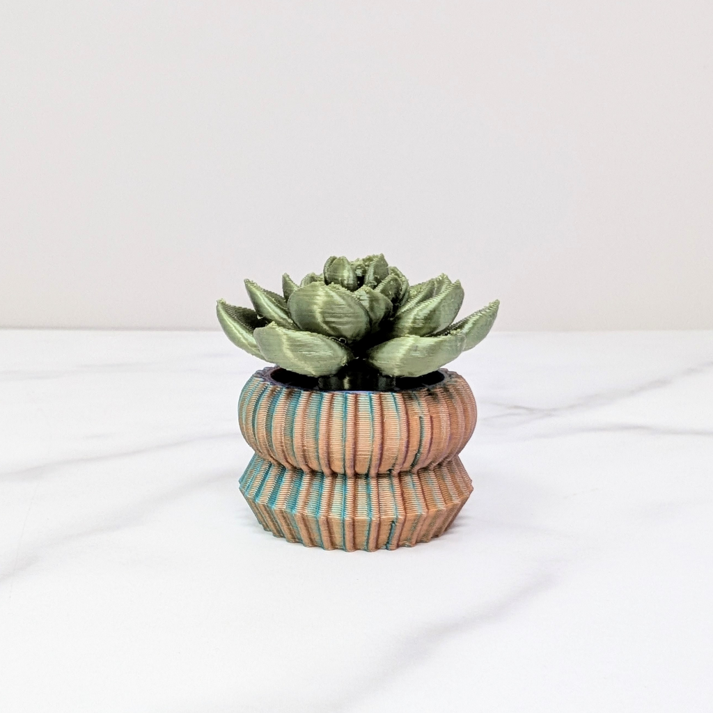 Succulent Spinner - Echeveria, Green/Dusk to Dawn