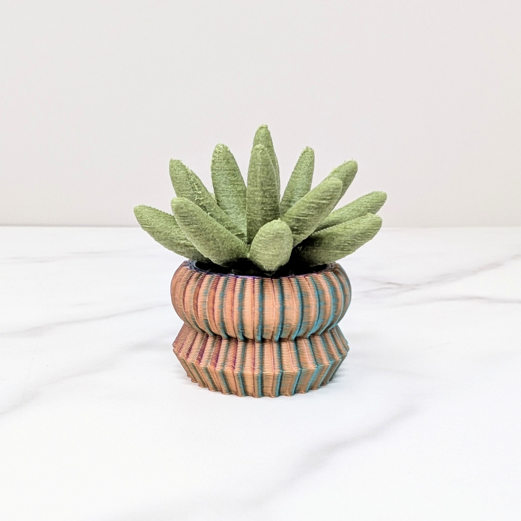 Succulent Spinner - Haworthia, Green/Dusk to Dawn