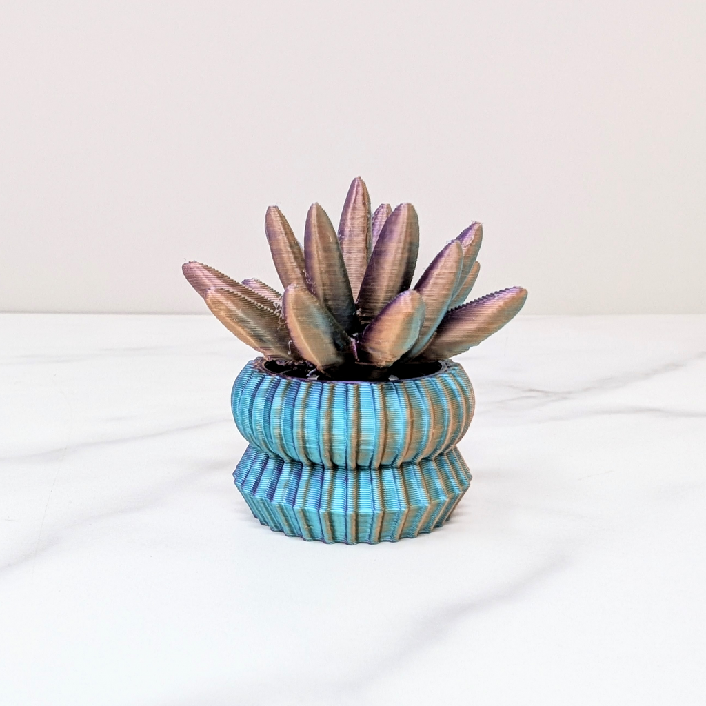 Succulent Spinner - Haworthia, Dusk to Dawn