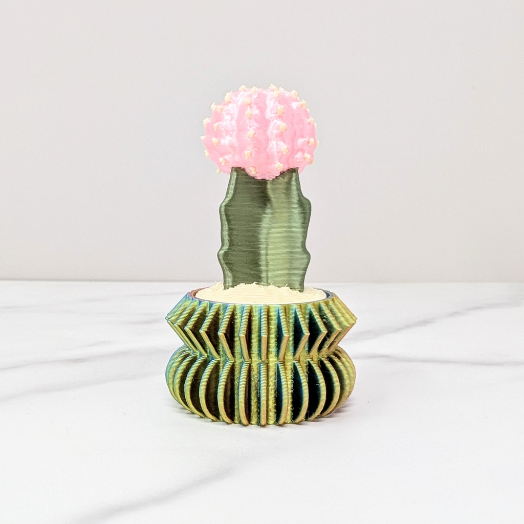 Cactus Clicker - Moon Cactus, Pink/Pastel Rainbow