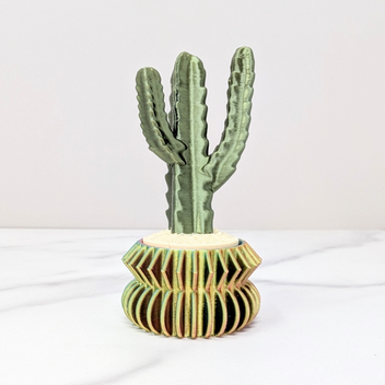 kaktus kaufen essen Cactus Opuntia | 120cm | Online kaufen main image 0