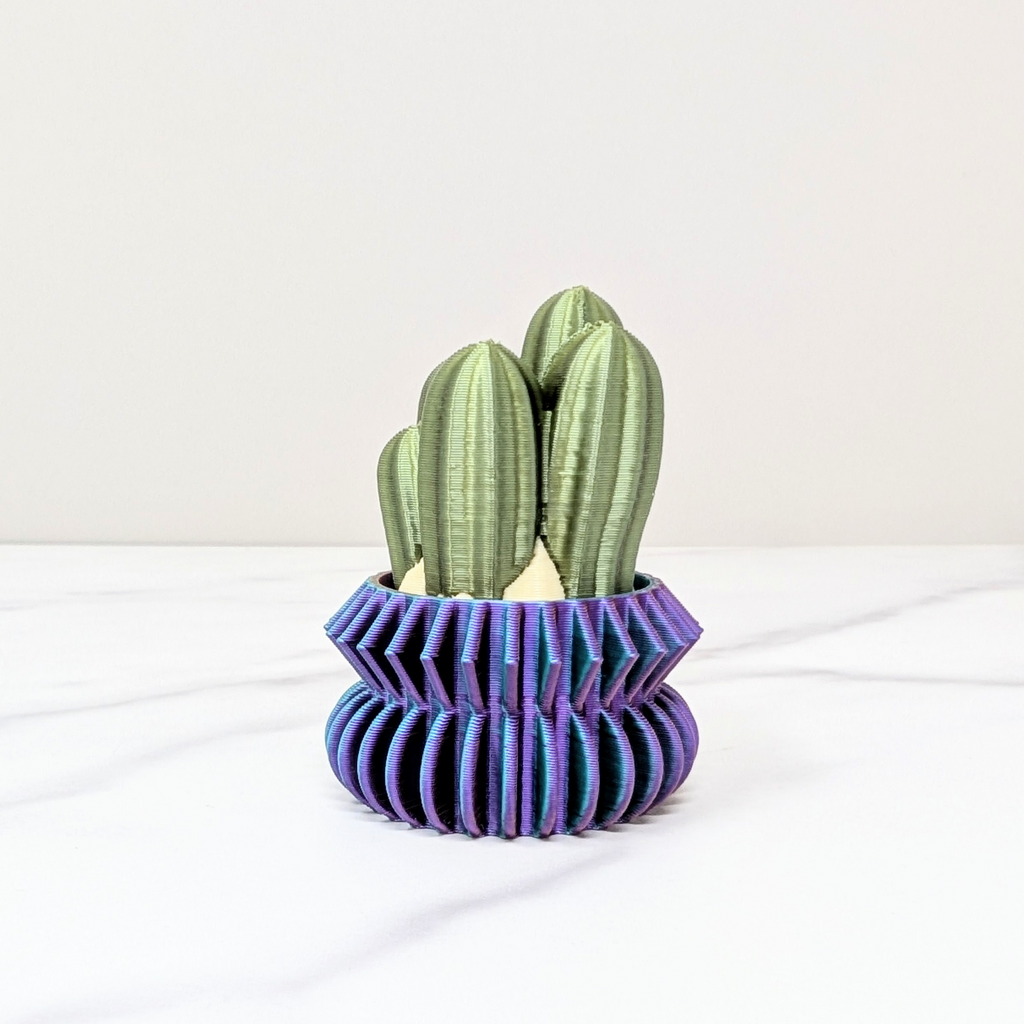 Cactus Clicker - Cluster Cactus, Dusk to Dawn