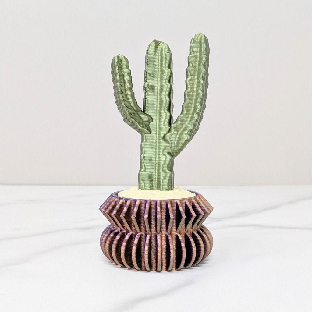 Cactus Clicker - Desert Candle Cactus, Dusk to Dawn